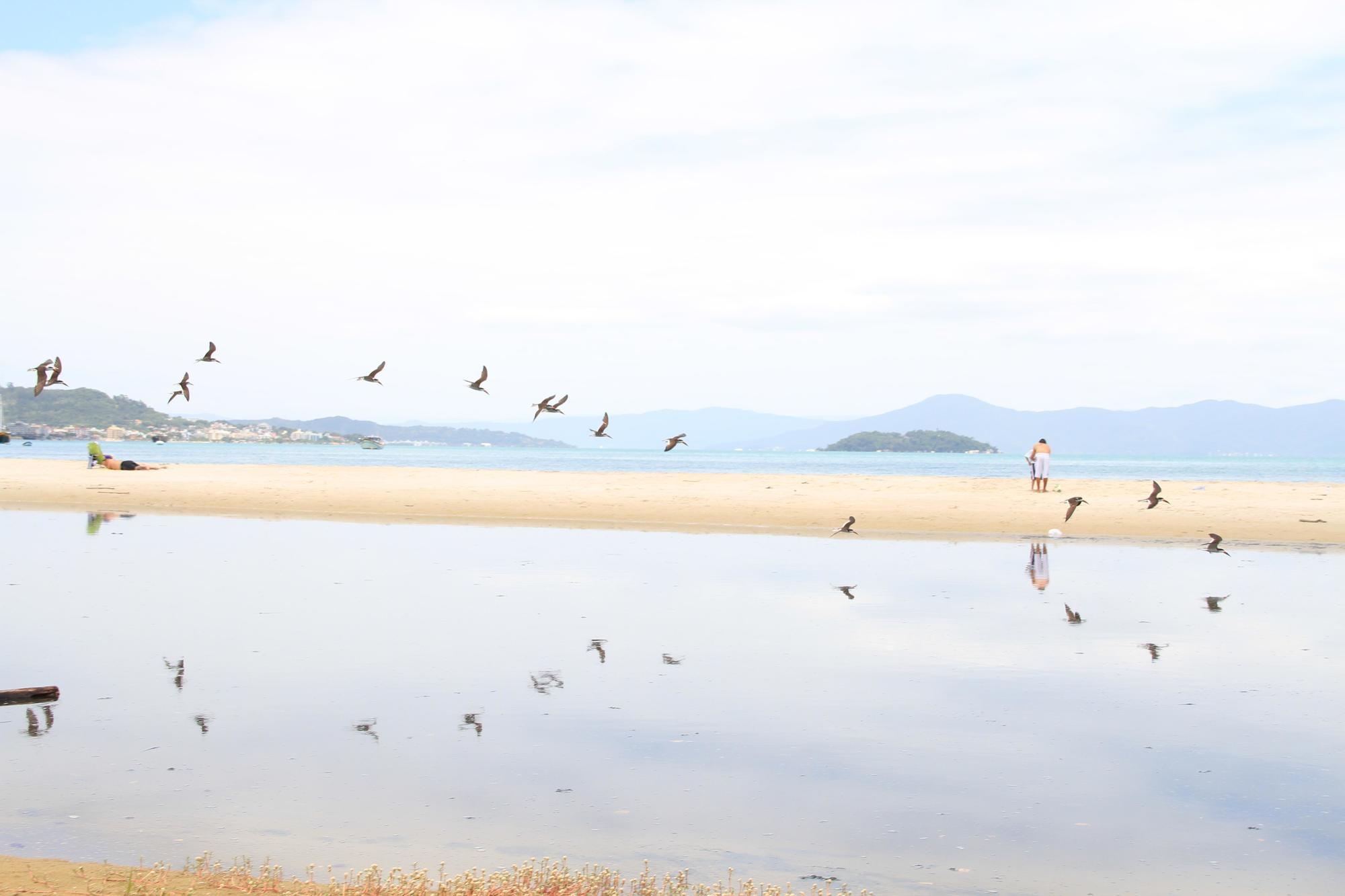 Aparthotel Balmare Florianopolis